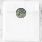 Wilde konijnen Eastern Cottontail Pair Apparel Gif Ronde Sticker (Tas)
