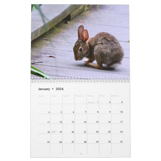 Wilde konijnen kalender (Jan 2026)