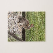 Wilde konijnenkonijn die op de padpuzzels zit legpuzzel (Horizontaal)