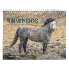 Wilde Krullige Paarden van Salt Wells Creek Kalend Kalender