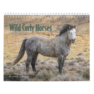 Wilde Krullige Paarden van Salt Wells Creek Kalend Kalender