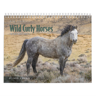 Wilde Krullige Paarden van Salt Wells Creek Kalend Kalender