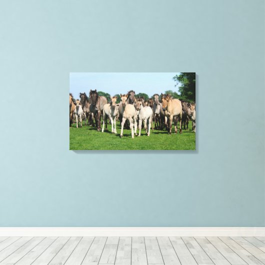 Wilde kudde Duelmen Ponies met veulens. Canvas Afdruk (Insitu (Houten vloer))