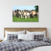 Wilde kudde Duelmen Ponies met veulens. Canvas Afdruk (Insitu (Slaapkamer))