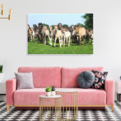 Wilde kudde Duelmen Ponies met veulens. Canvas Afdruk (Insitu (Woonkamer))