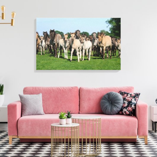 Wilde kudde Duelmen Ponies met veulens. Canvas Afdruk (Insitu (Woonkamer))