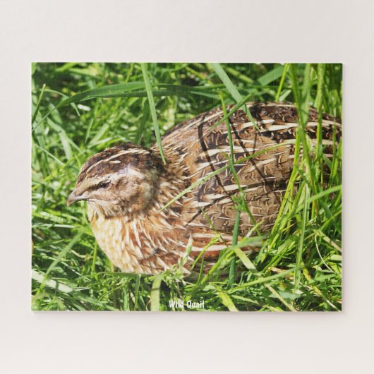 Wilde Kwartel Legpuzzel (Horizontaal)