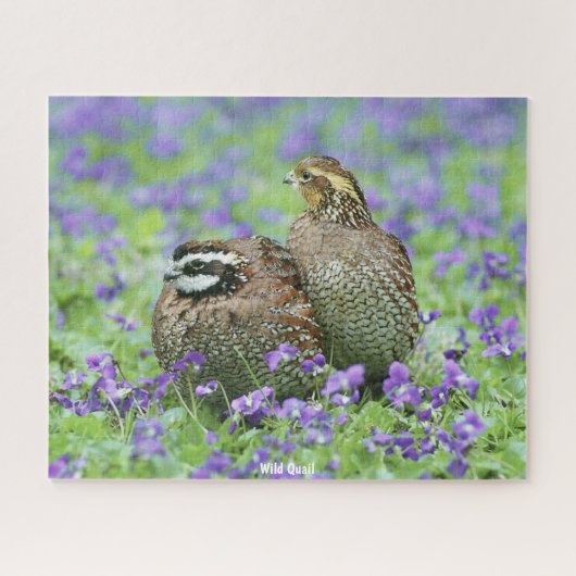 Wilde Kwartel Legpuzzel (Horizontaal)