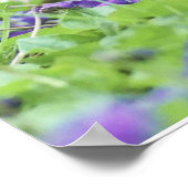 Wilde Kwartel Poster (Hoek)