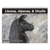 Wilde lama's en alpaca's kalender (Hoes)
