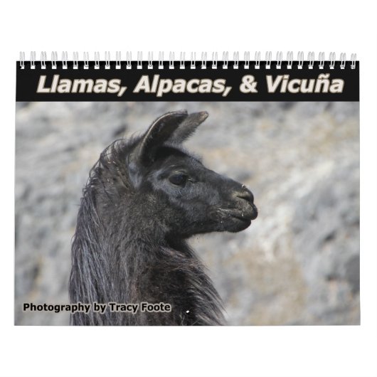 Wilde lama's en alpaca's kalender (Hoes)