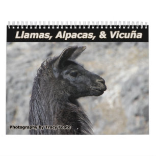 Wilde lama's en alpaca's kalender