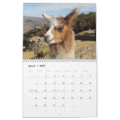 Wilde lama's en alpaca's kalender (Mar 2027)