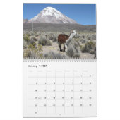 Wilde lama's en alpaca's kalender (Jan 2027)