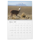 Wilde lama's en alpaca's kalender (Feb 2027)