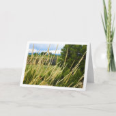 Wilde land gras landschap kaart (Voorkant)