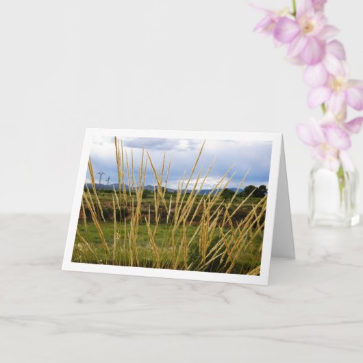 Wilde landelijke graslandschap kaart (Orchidee)