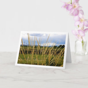 Wilde landelijke graslandschap kaart