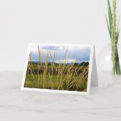 Wilde landelijke graslandschap kaart (Voorkant)