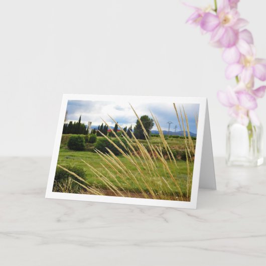 Wilde landschap met gras kaart (Orchidee)