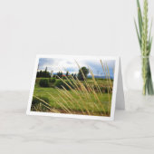 Wilde landschap met gras kaart (Voorkant)