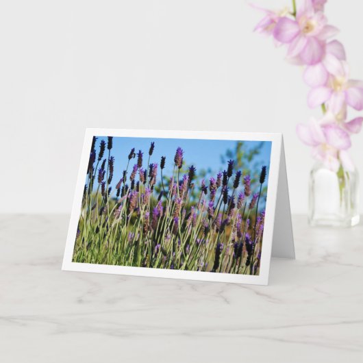 Wilde lavendel blauwe lucht portret kaart (Orchidee)