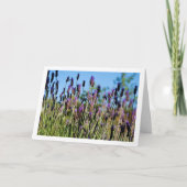 Wilde lavendel blauwe lucht portret kaart (Voorkant)