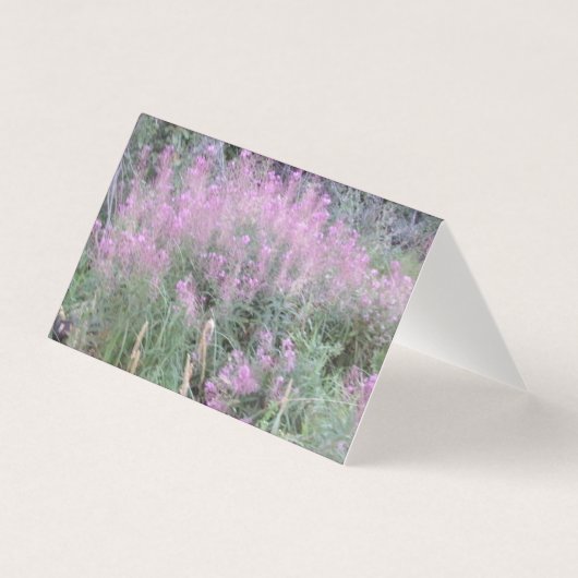 Wilde Lavendel Flora Blank Letter Kaarten (Voorkant)