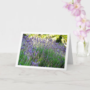 Wilde Lavendel Portret Kaart