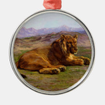 Wilde Leeuw in de Afrikaanse Savanne