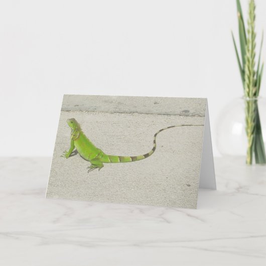 Wilde Leguaan Kaart (Voorkant)