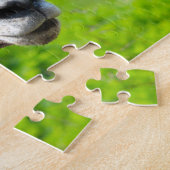 Wilde leven Canada. Dikhoornschaap. Legpuzzel (Zijkant)