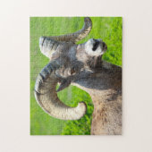 Wilde leven Canada. Dikhoornschaap. Legpuzzel (Verticaal)