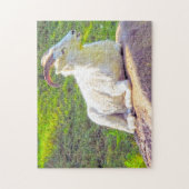Wilde leven Canada. Dikhoornschaap. Legpuzzel (Verticaal)