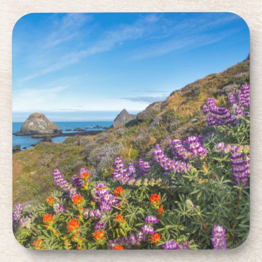 Wilde lupine en penseel bier onderzetter (Voorkant)