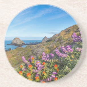 Wilde lupine en penseel zandsteen onderzetter