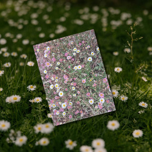 Wilde madeliefjes en roze bloemen in natuurgebied briefkaart