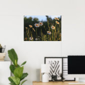 Wilde madeliefjes in een veld poster (Thuiskantoor)