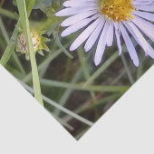 wilde maisbloem tissuepapier (Detail)