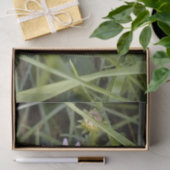 wilde maisbloem tissuepapier (Geschenk)