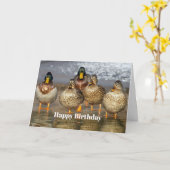 Wilde Mallard Ducks Foto Birthday Kaart (Gele Bloem)