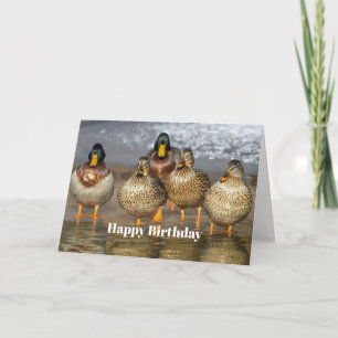 Wilde Mallard Ducks Foto Birthday Kaart