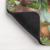 Wilde Man van Borneo Orangutan Muismat (Hoek)