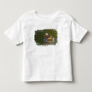 Wilde Mandarijneend Aix galericulata) op donker Kinder Shirts