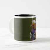 Wilde Mandarijneend Aix galericulata) op donker Tweekleurige Koffiemok (Voorkant links)