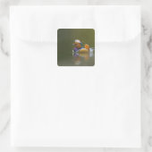 Wilde Mandarijneend Aix galericulata) op donker Vierkante Sticker (Tas)