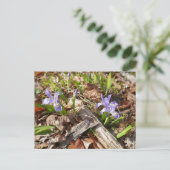 wilde miniatuur-irissen briefkaart (Staand voorkant)