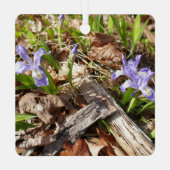 wilde miniatuur-irissen metalen ornament (Achterkant)