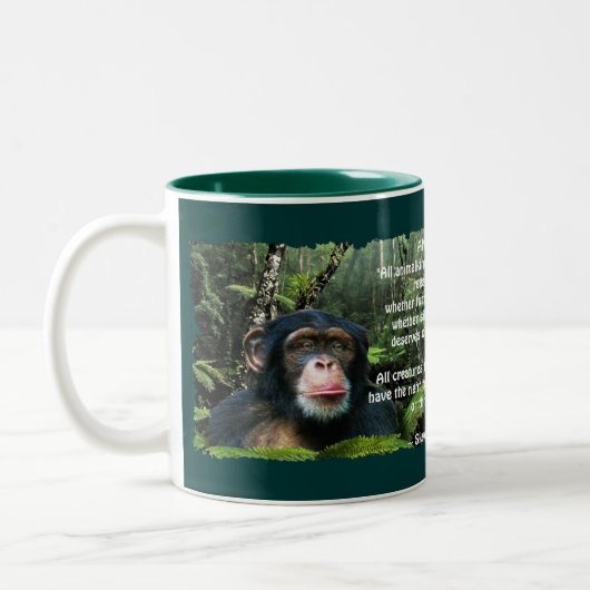 Wilde Mok chimpansee & Wildlife Poem (Links)