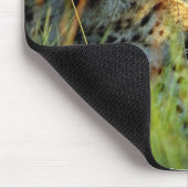 Wilde mooie dieren 112 muismat (Hoek)